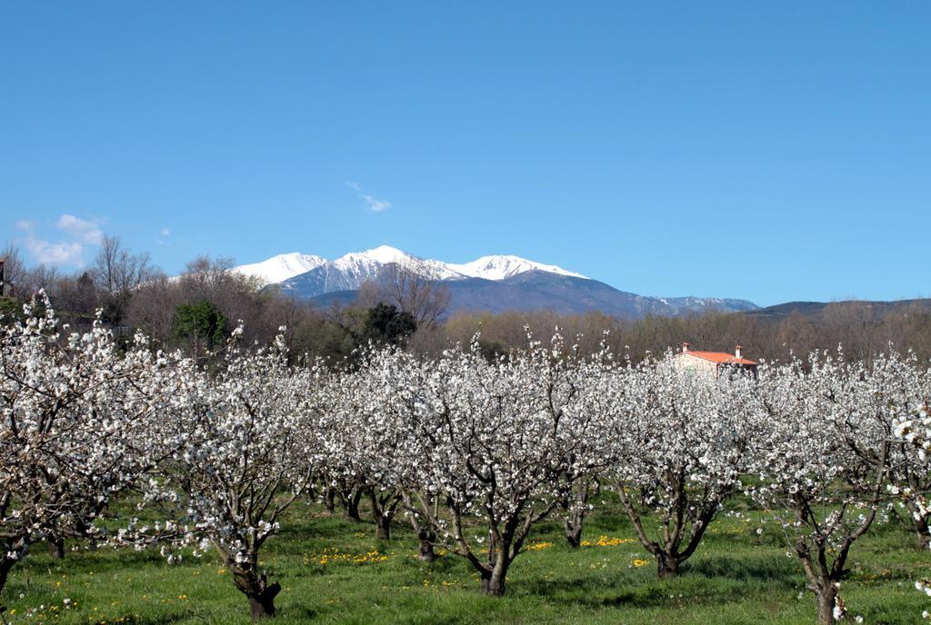Appartement Ta Maria